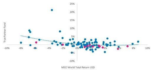 True Partner Fund vs. MSCI World Total Return USD – Monthly Returns, 2019 Highlighted
