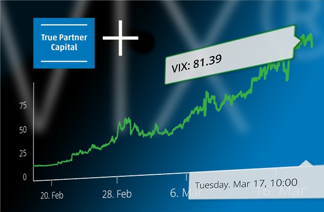 True Partner profitable while MSCI is down and VIX at +81